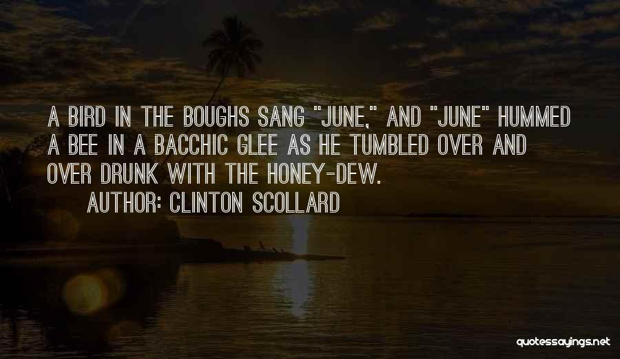 Clinton Scollard Quotes: A Bird In The Boughs Sang June, And June Hummed A Bee In A Bacchic Glee As He Tumbled Over