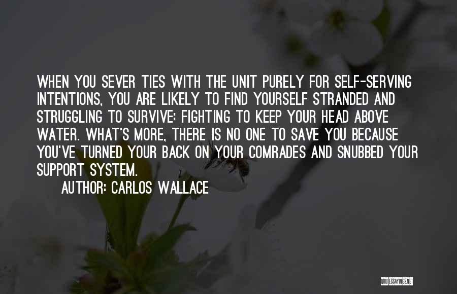 Carlos Wallace Quotes: When You Sever Ties With The Unit Purely For Self-serving Intentions, You Are Likely To Find Yourself Stranded And Struggling