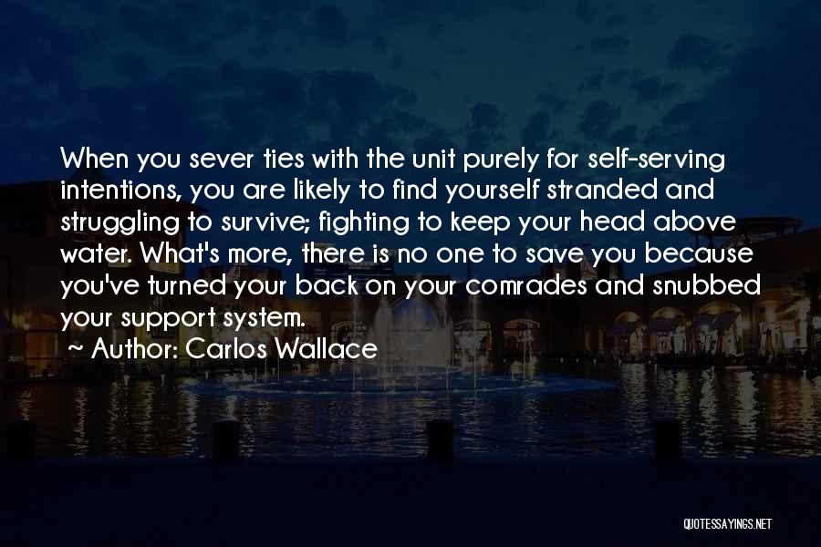 Carlos Wallace Quotes: When You Sever Ties With The Unit Purely For Self-serving Intentions, You Are Likely To Find Yourself Stranded And Struggling