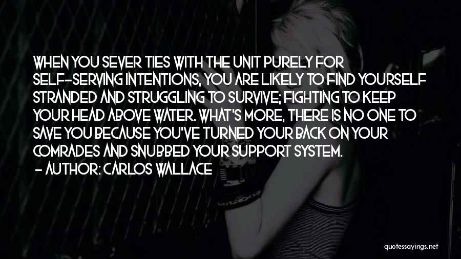 Carlos Wallace Quotes: When You Sever Ties With The Unit Purely For Self-serving Intentions, You Are Likely To Find Yourself Stranded And Struggling