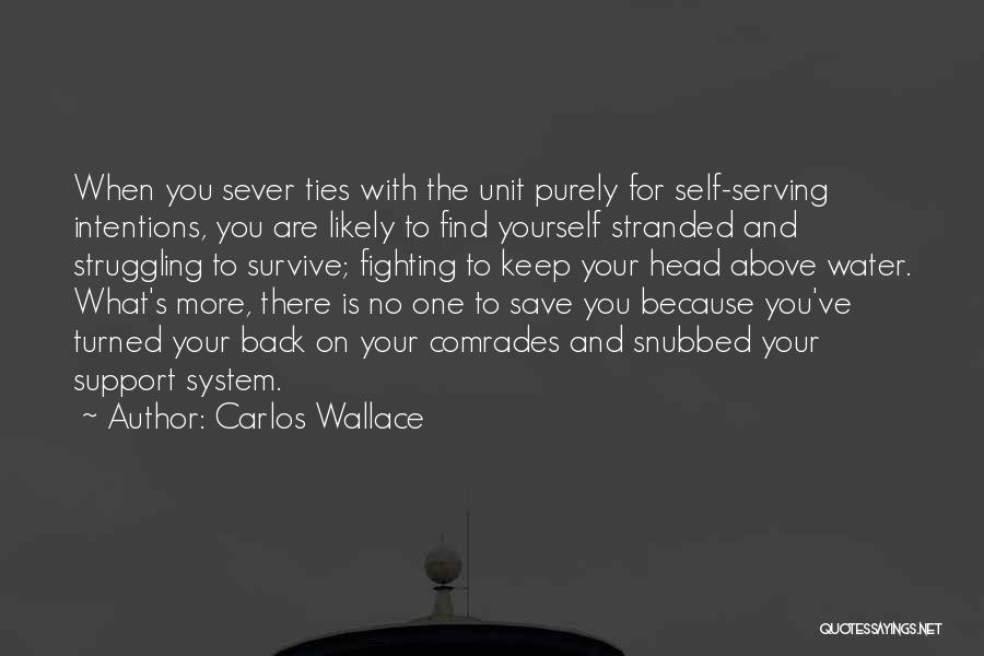 Carlos Wallace Quotes: When You Sever Ties With The Unit Purely For Self-serving Intentions, You Are Likely To Find Yourself Stranded And Struggling