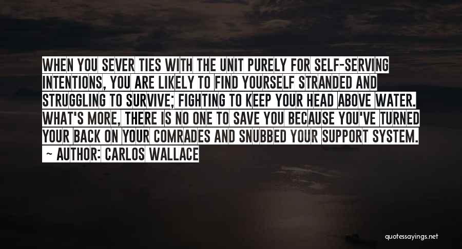 Carlos Wallace Quotes: When You Sever Ties With The Unit Purely For Self-serving Intentions, You Are Likely To Find Yourself Stranded And Struggling