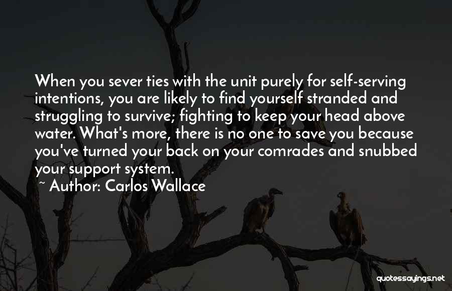 Carlos Wallace Quotes: When You Sever Ties With The Unit Purely For Self-serving Intentions, You Are Likely To Find Yourself Stranded And Struggling