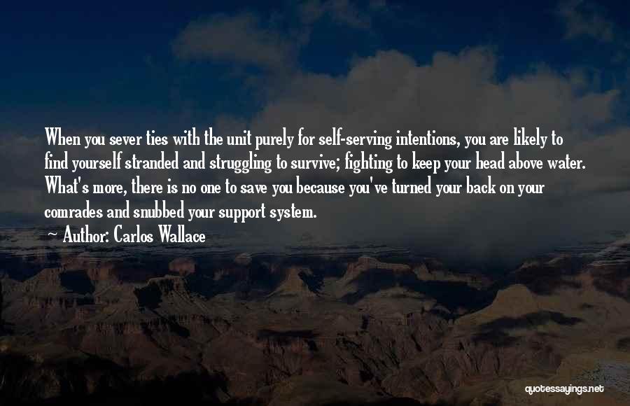 Carlos Wallace Quotes: When You Sever Ties With The Unit Purely For Self-serving Intentions, You Are Likely To Find Yourself Stranded And Struggling