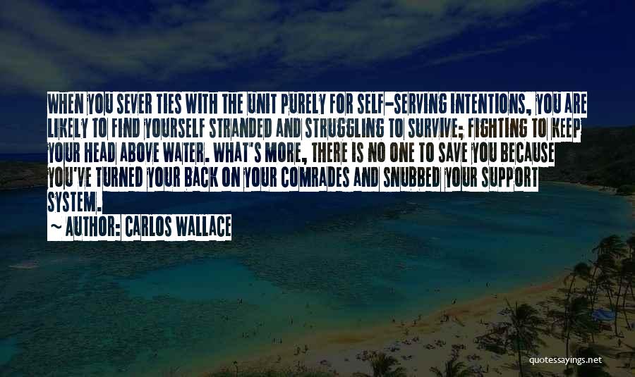 Carlos Wallace Quotes: When You Sever Ties With The Unit Purely For Self-serving Intentions, You Are Likely To Find Yourself Stranded And Struggling