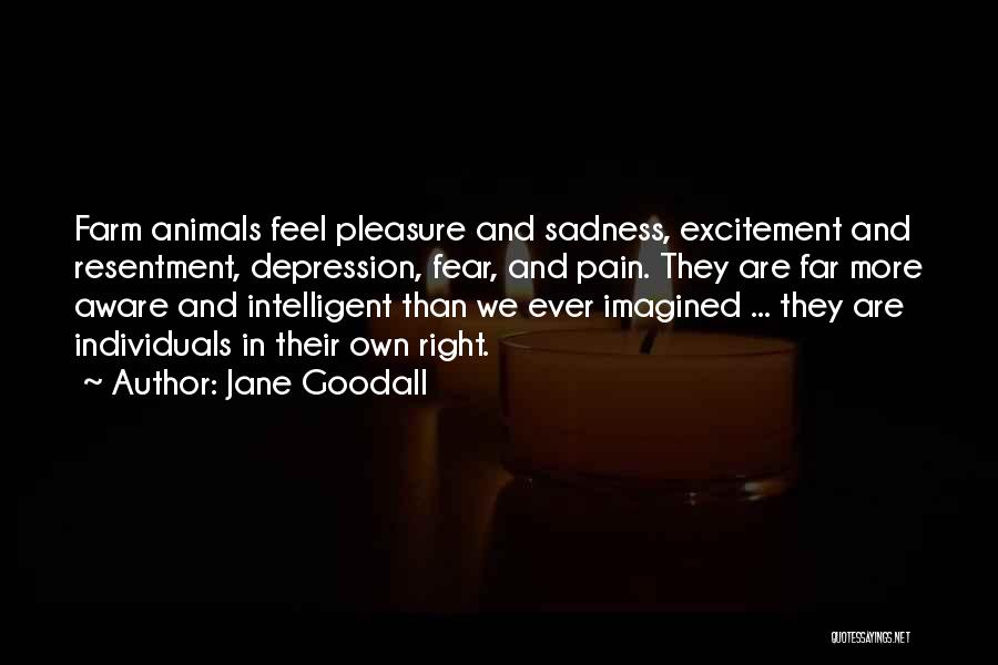 Jane Goodall Quotes: Farm Animals Feel Pleasure And Sadness, Excitement And Resentment, Depression, Fear, And Pain. They Are Far More Aware And Intelligent