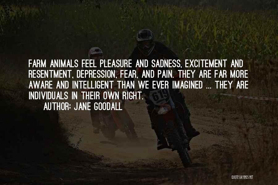 Jane Goodall Quotes: Farm Animals Feel Pleasure And Sadness, Excitement And Resentment, Depression, Fear, And Pain. They Are Far More Aware And Intelligent