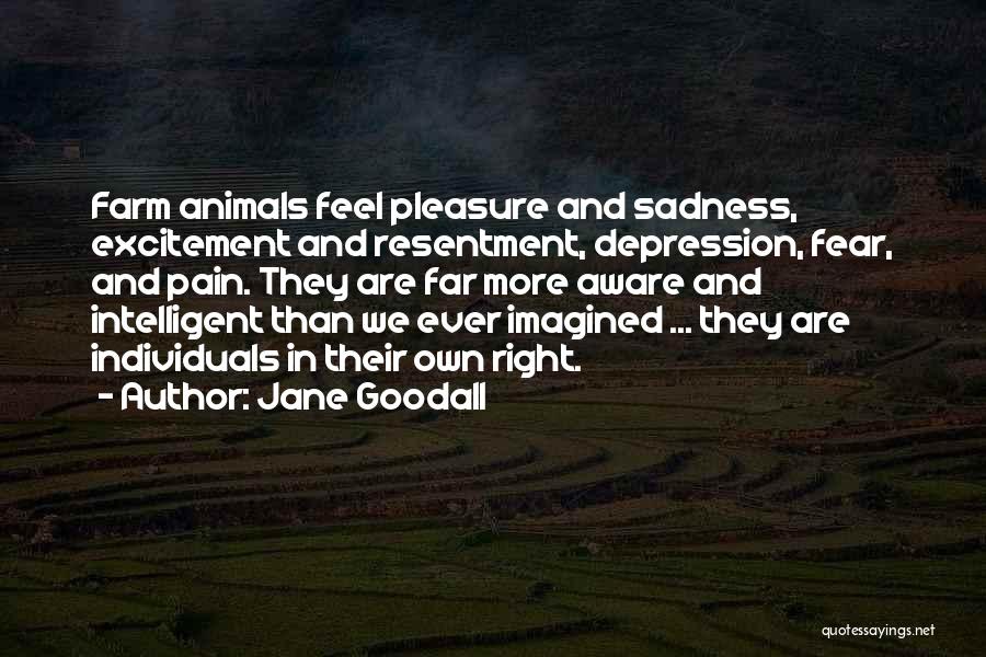 Jane Goodall Quotes: Farm Animals Feel Pleasure And Sadness, Excitement And Resentment, Depression, Fear, And Pain. They Are Far More Aware And Intelligent