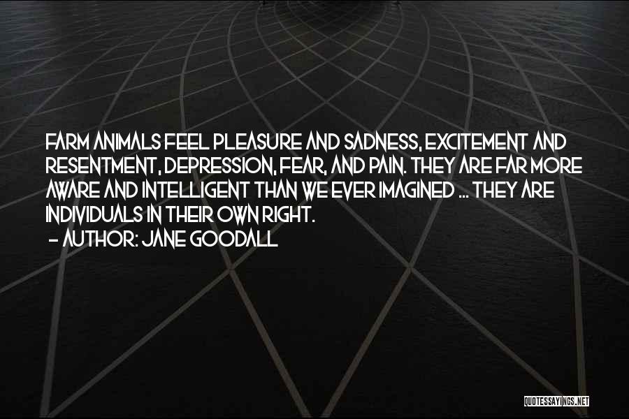Jane Goodall Quotes: Farm Animals Feel Pleasure And Sadness, Excitement And Resentment, Depression, Fear, And Pain. They Are Far More Aware And Intelligent