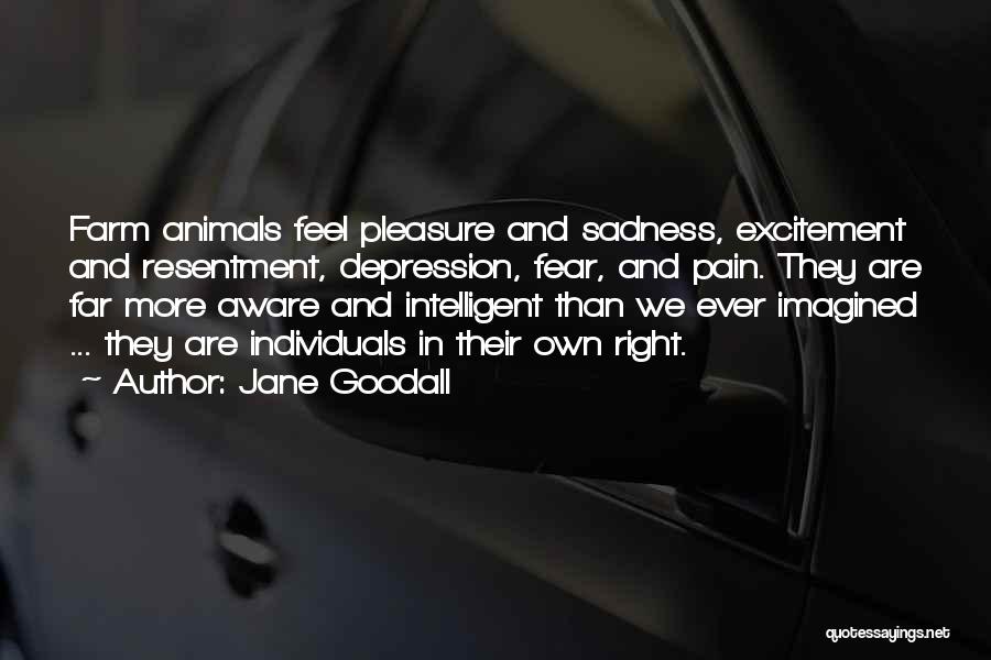 Jane Goodall Quotes: Farm Animals Feel Pleasure And Sadness, Excitement And Resentment, Depression, Fear, And Pain. They Are Far More Aware And Intelligent
