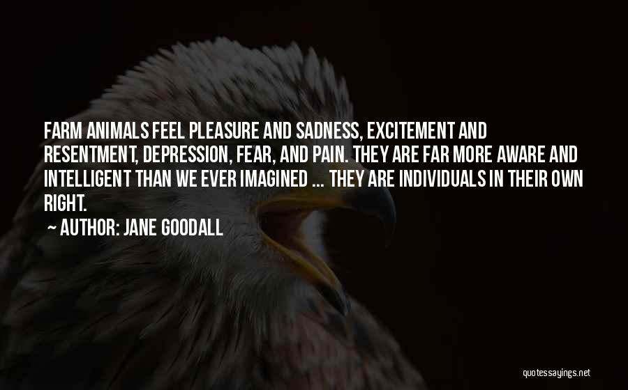 Jane Goodall Quotes: Farm Animals Feel Pleasure And Sadness, Excitement And Resentment, Depression, Fear, And Pain. They Are Far More Aware And Intelligent
