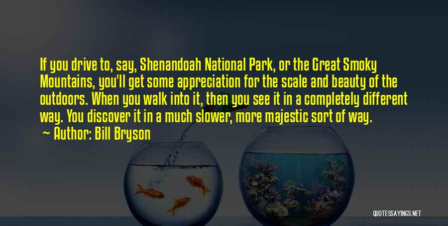 Bill Bryson Quotes: If You Drive To, Say, Shenandoah National Park, Or The Great Smoky Mountains, You'll Get Some Appreciation For The Scale