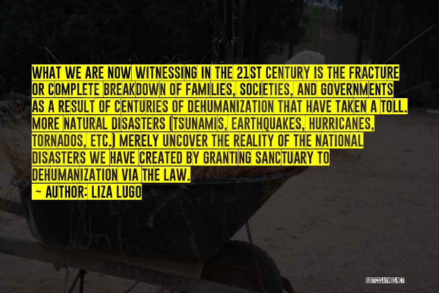 Liza Lugo Quotes: What We Are Now Witnessing In The 21st Century Is The Fracture Or Complete Breakdown Of Families, Societies, And Governments