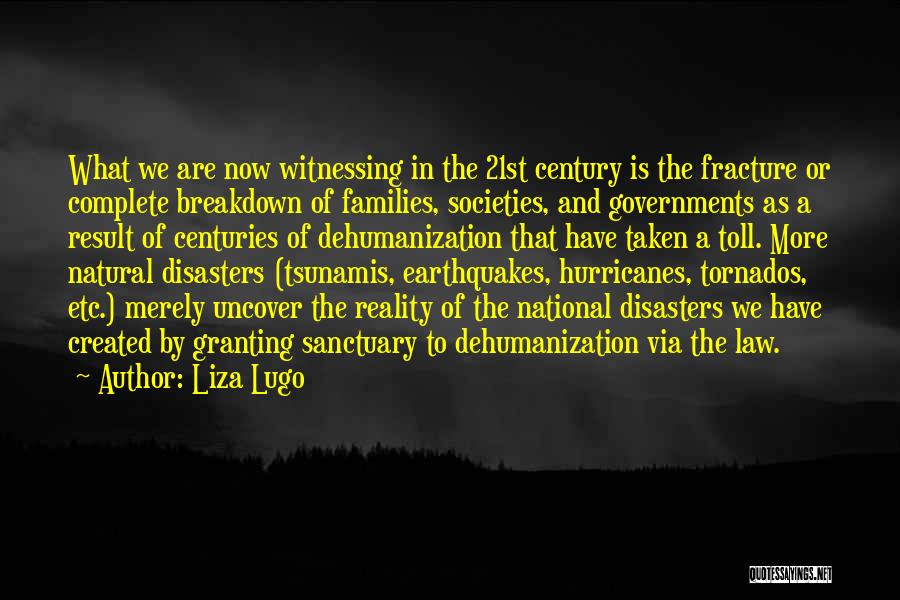 Liza Lugo Quotes: What We Are Now Witnessing In The 21st Century Is The Fracture Or Complete Breakdown Of Families, Societies, And Governments