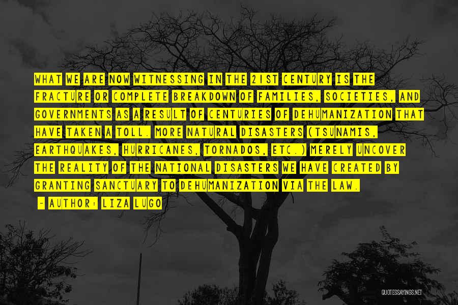 Liza Lugo Quotes: What We Are Now Witnessing In The 21st Century Is The Fracture Or Complete Breakdown Of Families, Societies, And Governments