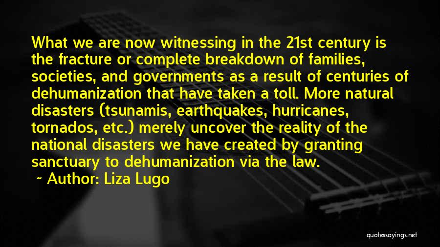 Liza Lugo Quotes: What We Are Now Witnessing In The 21st Century Is The Fracture Or Complete Breakdown Of Families, Societies, And Governments