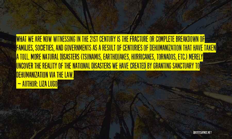 Liza Lugo Quotes: What We Are Now Witnessing In The 21st Century Is The Fracture Or Complete Breakdown Of Families, Societies, And Governments