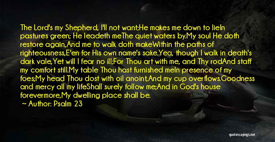 Psalm 23 Quotes: The Lord's My Shepherd, I'll Not Want;he Makes Me Down To Liein Pastures Green; He Leadeth Methe Quiet Waters By.my