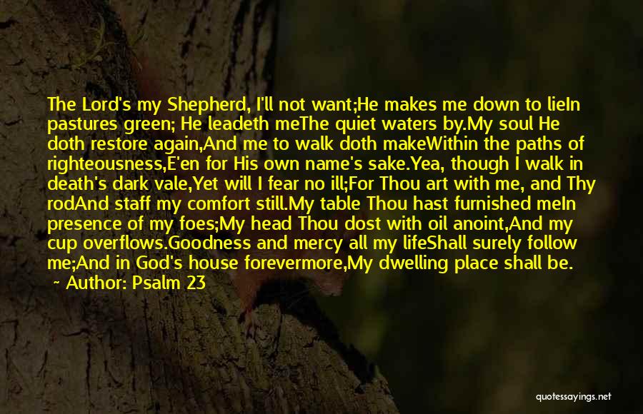 Psalm 23 Quotes: The Lord's My Shepherd, I'll Not Want;he Makes Me Down To Liein Pastures Green; He Leadeth Methe Quiet Waters By.my