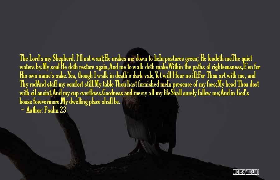 Psalm 23 Quotes: The Lord's My Shepherd, I'll Not Want;he Makes Me Down To Liein Pastures Green; He Leadeth Methe Quiet Waters By.my