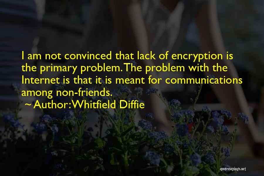 Whitfield Diffie Quotes: I Am Not Convinced That Lack Of Encryption Is The Primary Problem. The Problem With The Internet Is That It