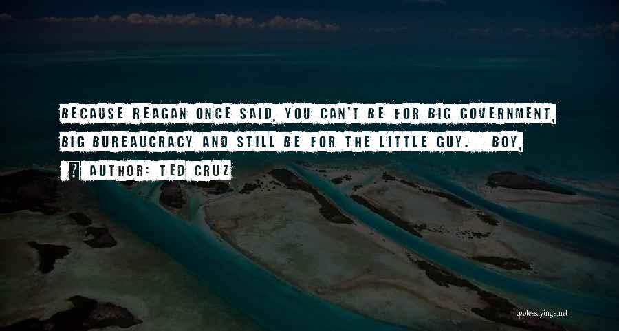 Ted Cruz Quotes: Because Reagan Once Said, You Can't Be For Big Government, Big Bureaucracy And Still Be For The Little Guy. Boy,