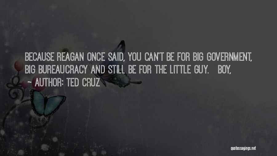 Ted Cruz Quotes: Because Reagan Once Said, You Can't Be For Big Government, Big Bureaucracy And Still Be For The Little Guy. Boy,