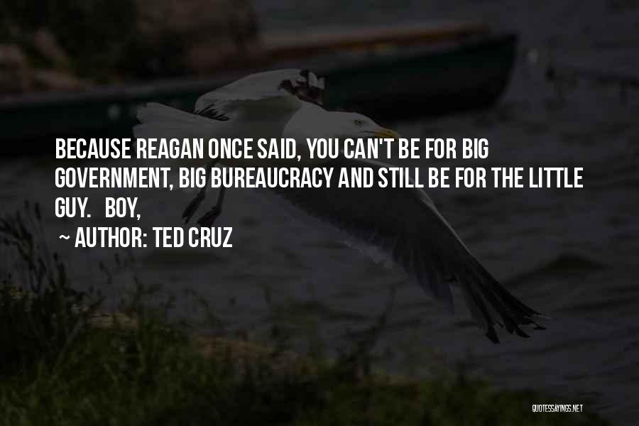 Ted Cruz Quotes: Because Reagan Once Said, You Can't Be For Big Government, Big Bureaucracy And Still Be For The Little Guy. Boy,