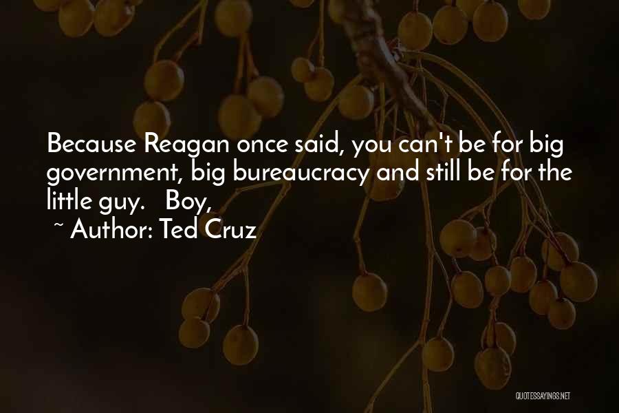 Ted Cruz Quotes: Because Reagan Once Said, You Can't Be For Big Government, Big Bureaucracy And Still Be For The Little Guy. Boy,