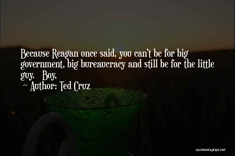 Ted Cruz Quotes: Because Reagan Once Said, You Can't Be For Big Government, Big Bureaucracy And Still Be For The Little Guy. Boy,