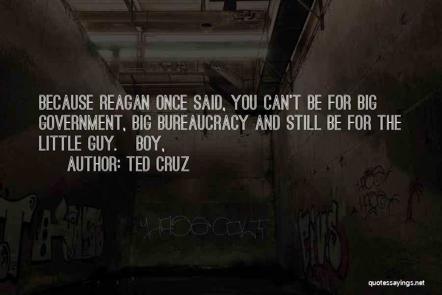 Ted Cruz Quotes: Because Reagan Once Said, You Can't Be For Big Government, Big Bureaucracy And Still Be For The Little Guy. Boy,