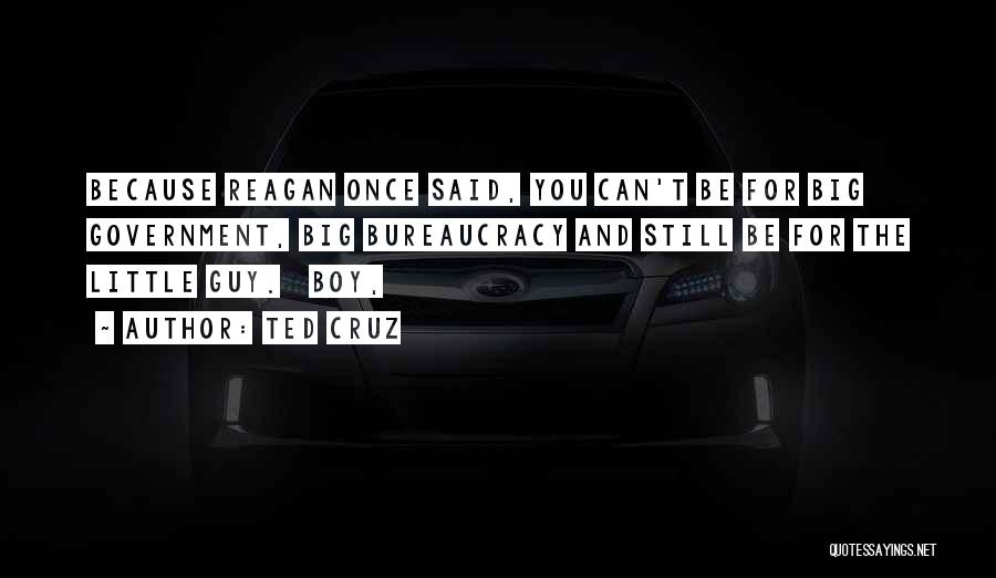 Ted Cruz Quotes: Because Reagan Once Said, You Can't Be For Big Government, Big Bureaucracy And Still Be For The Little Guy. Boy,