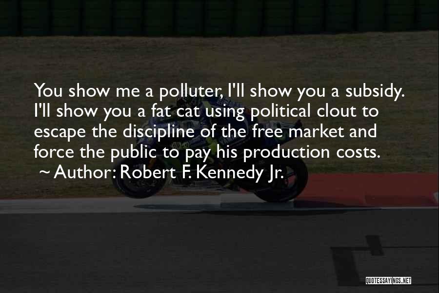 Robert F. Kennedy Jr. Quotes: You Show Me A Polluter, I'll Show You A Subsidy. I'll Show You A Fat Cat Using Political Clout To