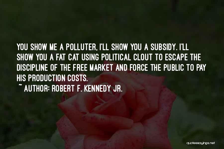 Robert F. Kennedy Jr. Quotes: You Show Me A Polluter, I'll Show You A Subsidy. I'll Show You A Fat Cat Using Political Clout To