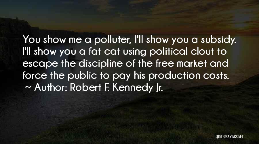 Robert F. Kennedy Jr. Quotes: You Show Me A Polluter, I'll Show You A Subsidy. I'll Show You A Fat Cat Using Political Clout To