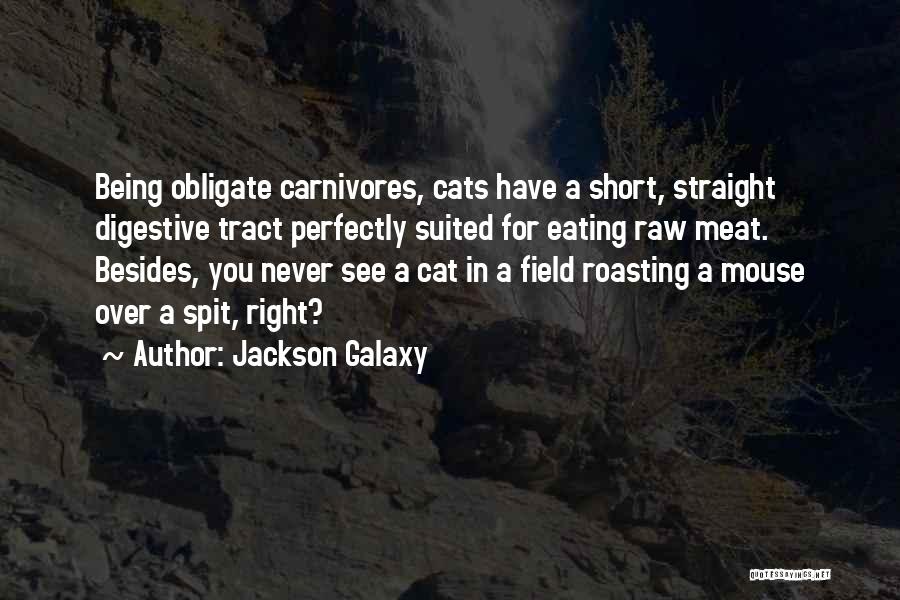 Jackson Galaxy Quotes: Being Obligate Carnivores, Cats Have A Short, Straight Digestive Tract Perfectly Suited For Eating Raw Meat. Besides, You Never See