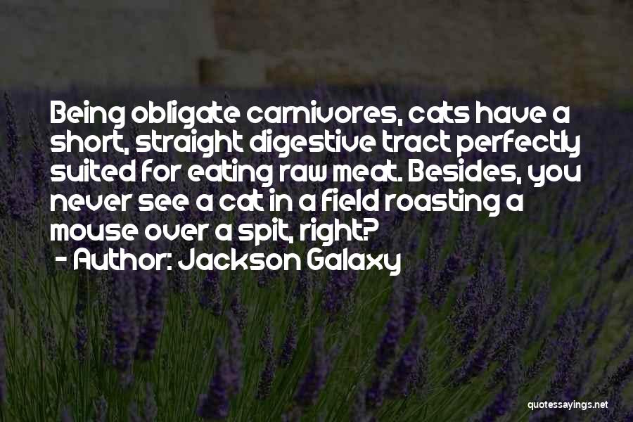 Jackson Galaxy Quotes: Being Obligate Carnivores, Cats Have A Short, Straight Digestive Tract Perfectly Suited For Eating Raw Meat. Besides, You Never See