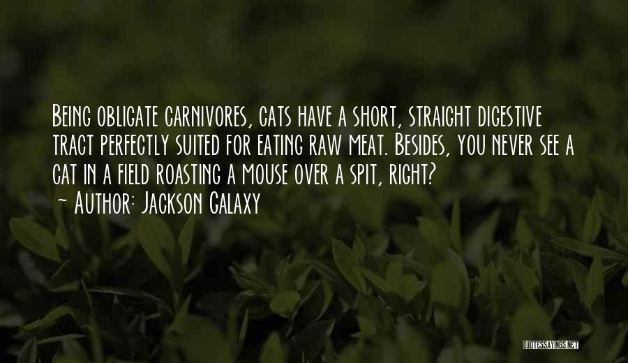 Jackson Galaxy Quotes: Being Obligate Carnivores, Cats Have A Short, Straight Digestive Tract Perfectly Suited For Eating Raw Meat. Besides, You Never See