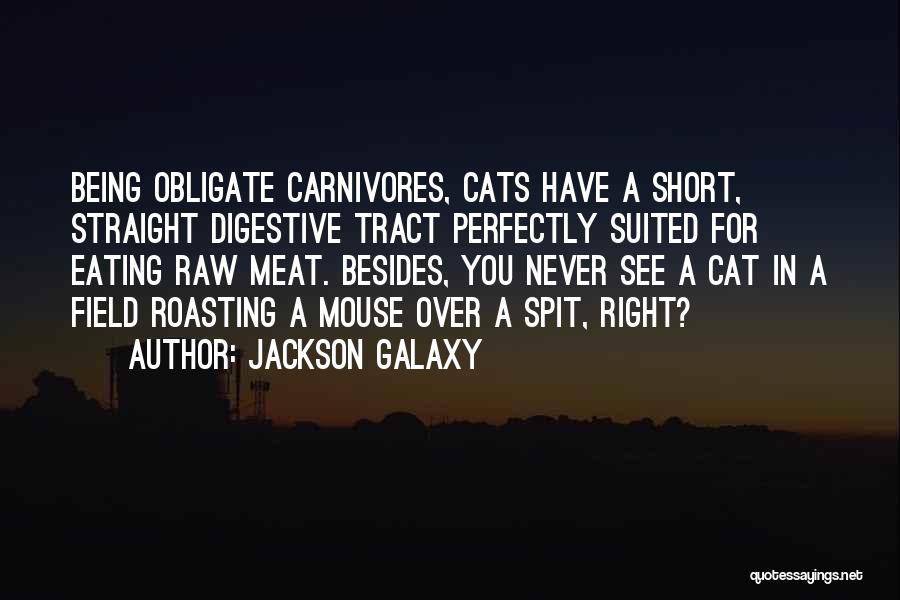 Jackson Galaxy Quotes: Being Obligate Carnivores, Cats Have A Short, Straight Digestive Tract Perfectly Suited For Eating Raw Meat. Besides, You Never See