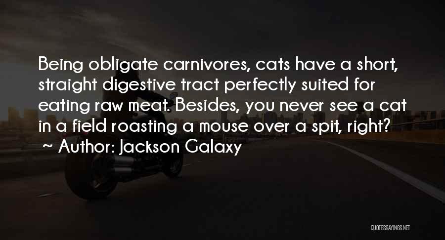 Jackson Galaxy Quotes: Being Obligate Carnivores, Cats Have A Short, Straight Digestive Tract Perfectly Suited For Eating Raw Meat. Besides, You Never See