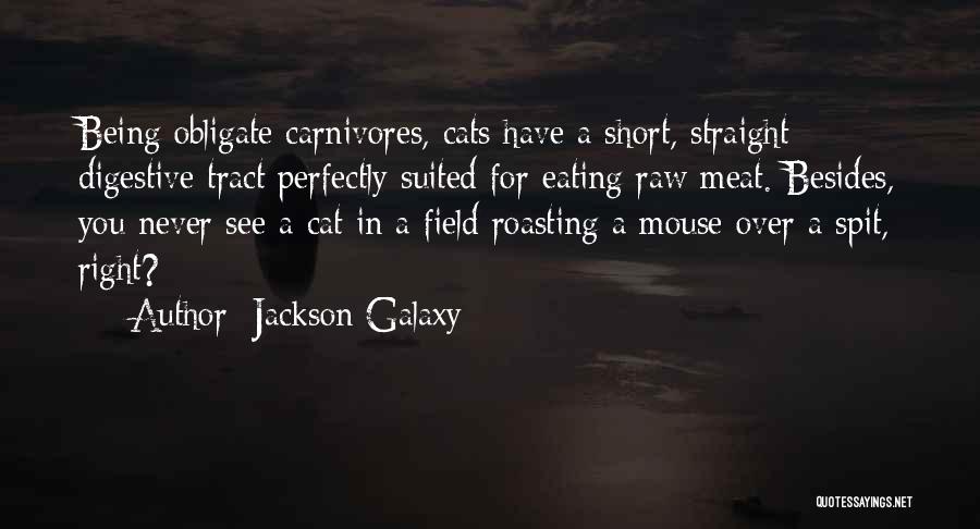 Jackson Galaxy Quotes: Being Obligate Carnivores, Cats Have A Short, Straight Digestive Tract Perfectly Suited For Eating Raw Meat. Besides, You Never See