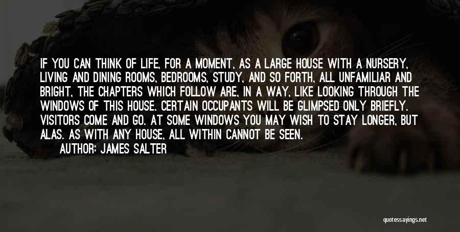 James Salter Quotes: If You Can Think Of Life, For A Moment, As A Large House With A Nursery, Living And Dining Rooms,