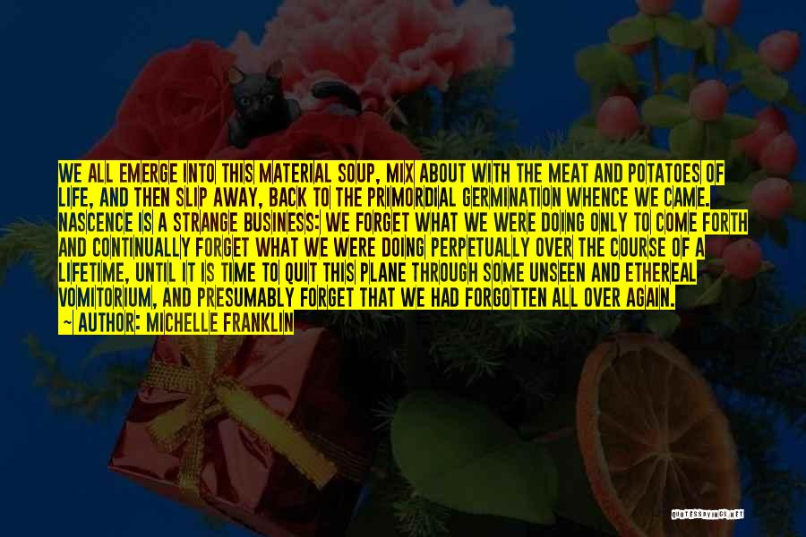 Michelle Franklin Quotes: We All Emerge Into This Material Soup, Mix About With The Meat And Potatoes Of Life, And Then Slip Away,