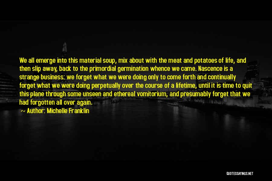 Michelle Franklin Quotes: We All Emerge Into This Material Soup, Mix About With The Meat And Potatoes Of Life, And Then Slip Away,