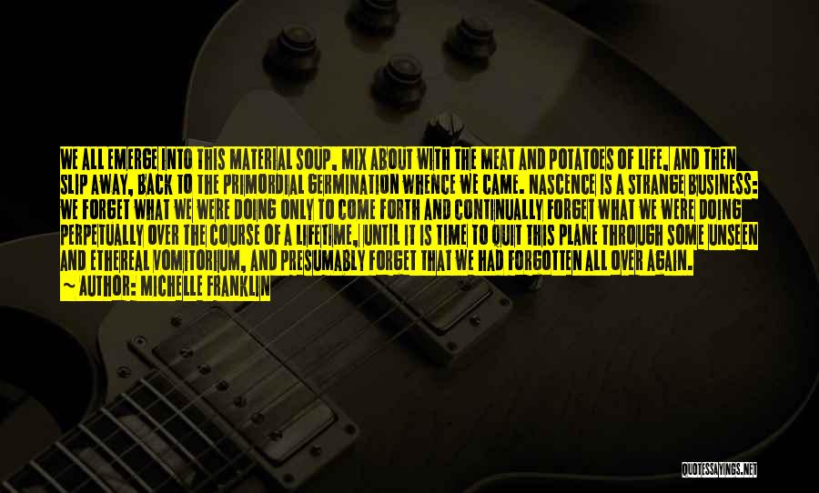 Michelle Franklin Quotes: We All Emerge Into This Material Soup, Mix About With The Meat And Potatoes Of Life, And Then Slip Away,