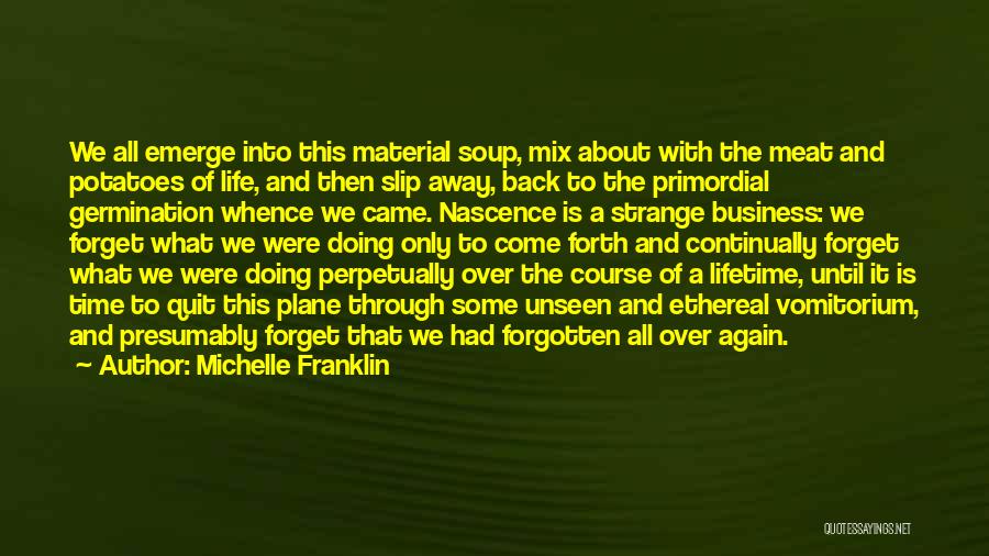 Michelle Franklin Quotes: We All Emerge Into This Material Soup, Mix About With The Meat And Potatoes Of Life, And Then Slip Away,