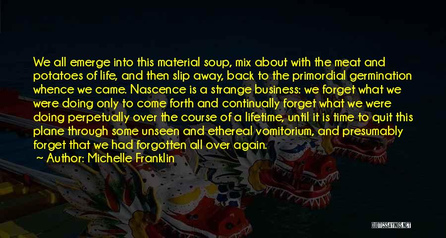 Michelle Franklin Quotes: We All Emerge Into This Material Soup, Mix About With The Meat And Potatoes Of Life, And Then Slip Away,