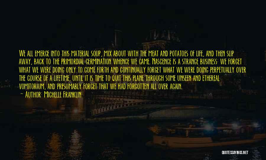 Michelle Franklin Quotes: We All Emerge Into This Material Soup, Mix About With The Meat And Potatoes Of Life, And Then Slip Away,