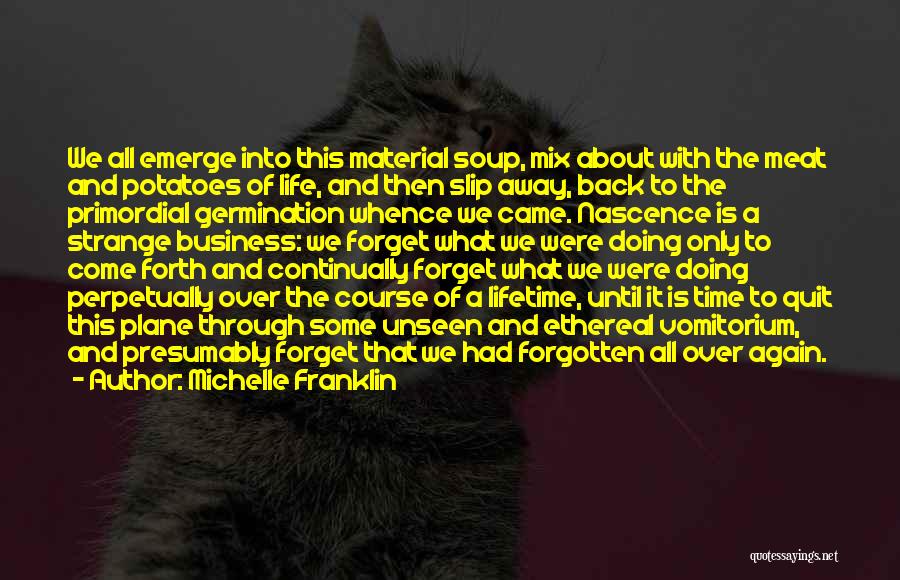 Michelle Franklin Quotes: We All Emerge Into This Material Soup, Mix About With The Meat And Potatoes Of Life, And Then Slip Away,