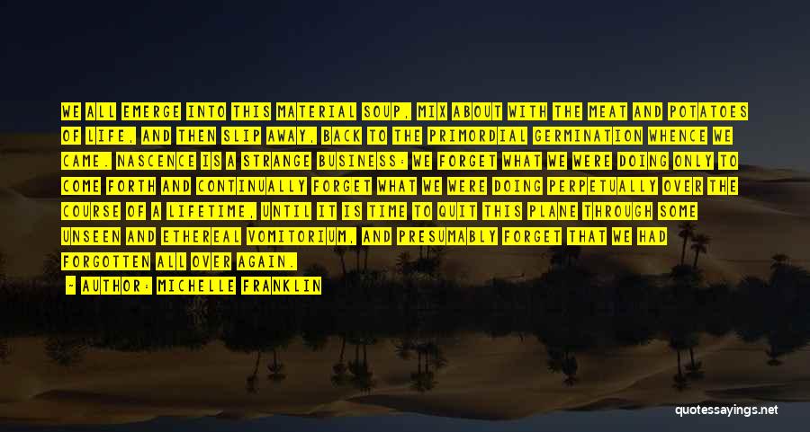 Michelle Franklin Quotes: We All Emerge Into This Material Soup, Mix About With The Meat And Potatoes Of Life, And Then Slip Away,